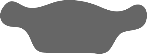 Grey Atlas from Elite Upper Cervical Logo